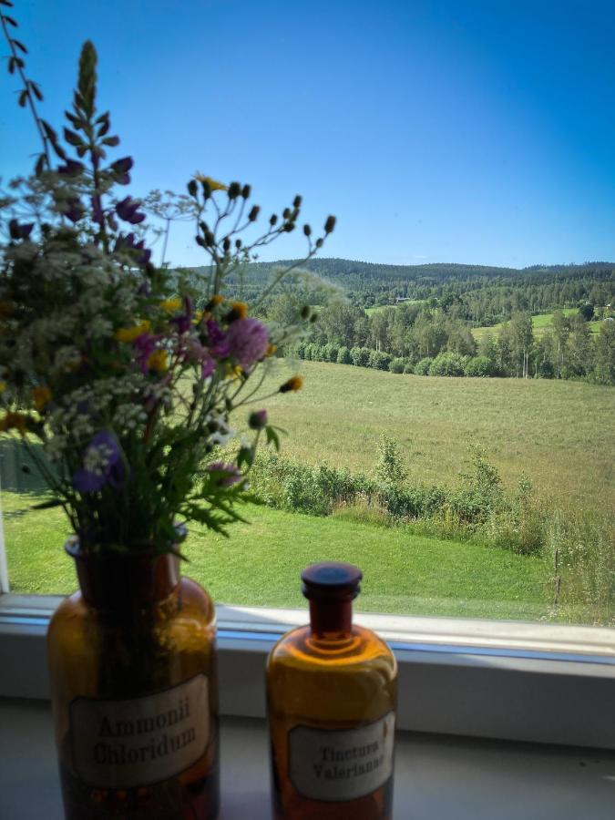 Stilleben Hotell Åmot Kültér fotó